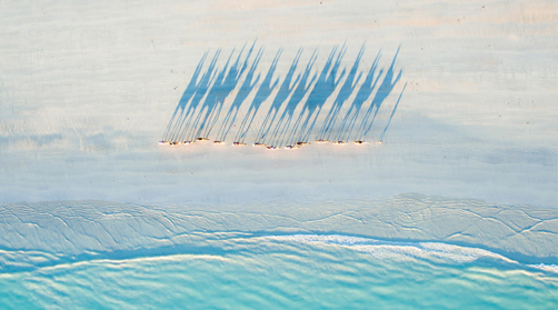sea